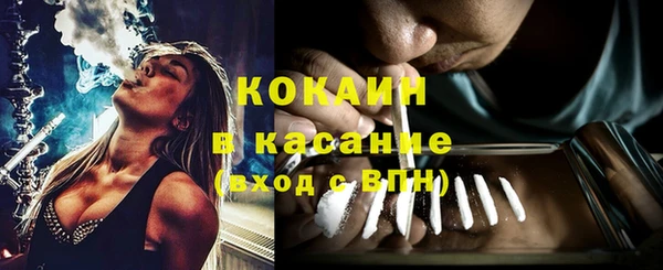 ГАЛЛЮЦИНОГЕННЫЕ ГРИБЫ Горняк