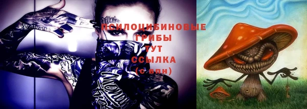 мет Горно-Алтайск